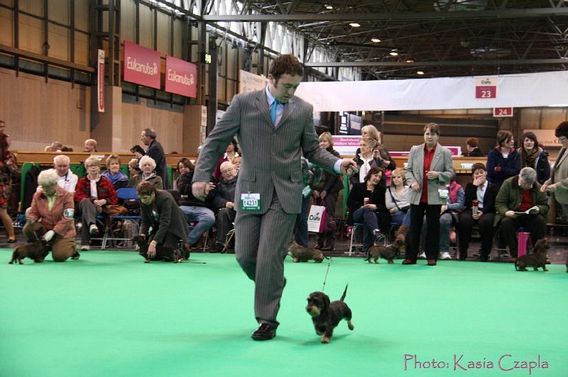 Crufts2011_2 1083.jpg